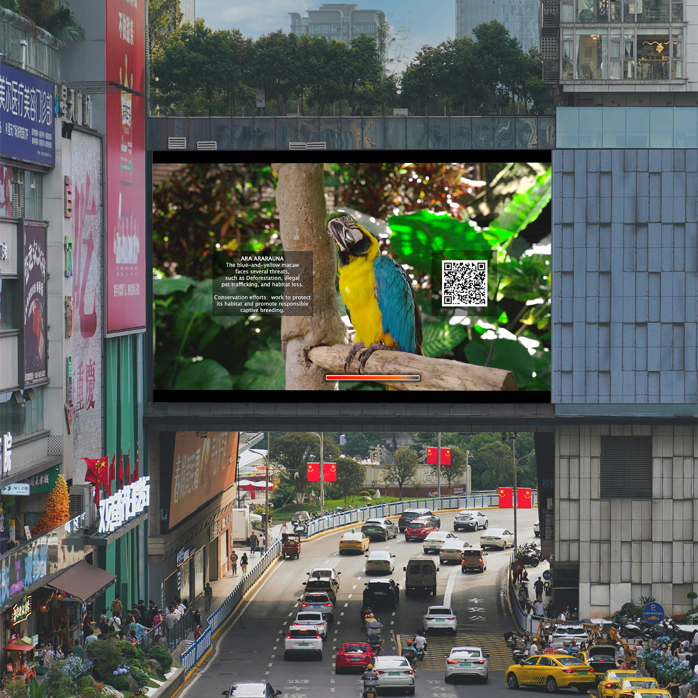 Decentralized screens - Hybrid Natures