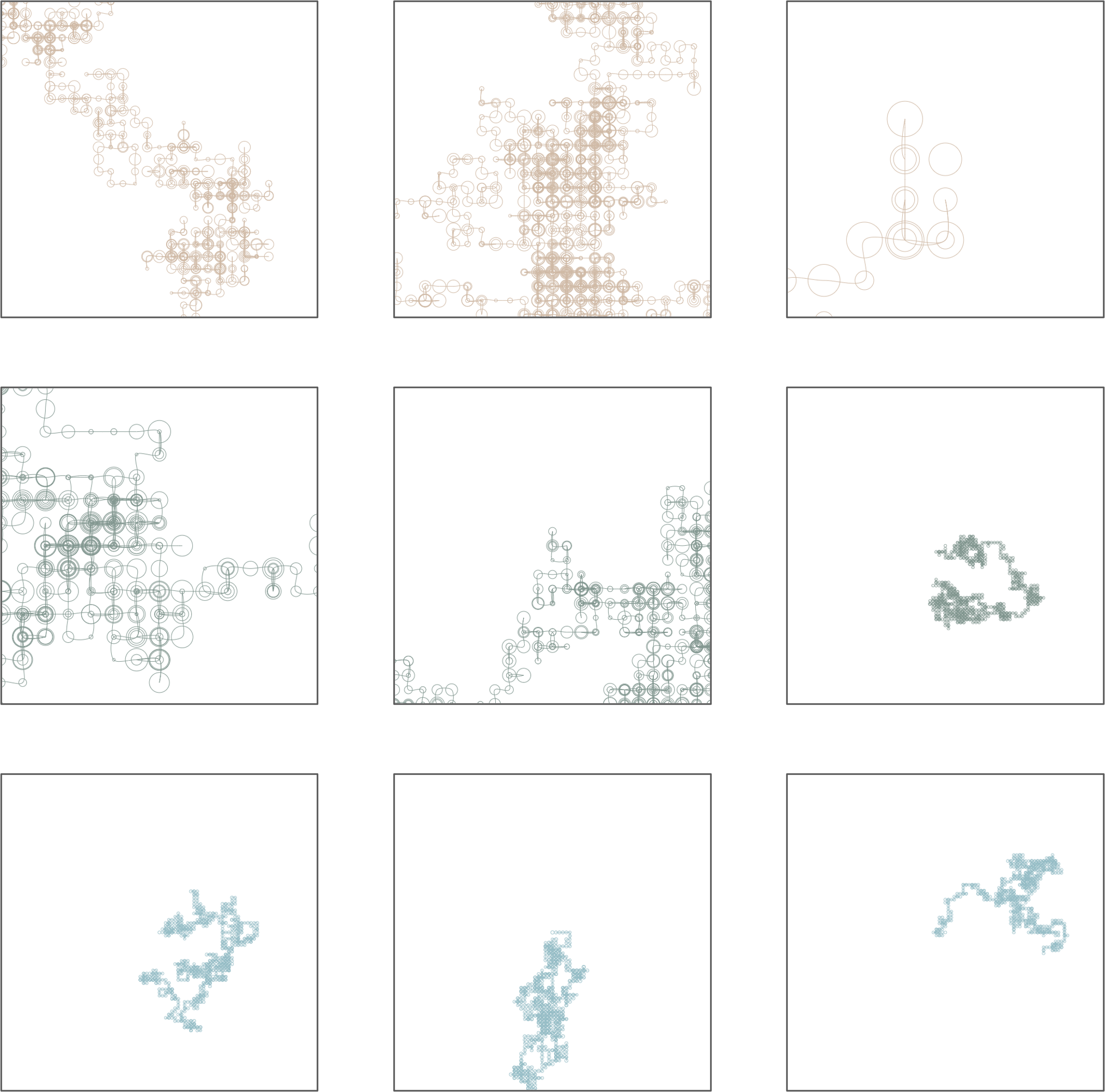 Live session visualization